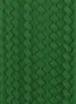 Dark Green Dark Green
