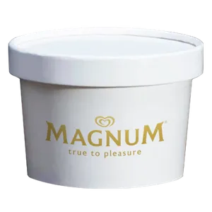Ice Cream Container - Custom Beanies Now