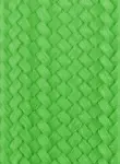 Light Green Light Green
